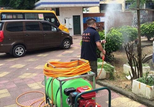 赶走苍蝇有什么生活小妙招,如何赶走苍蝇最有效的方法