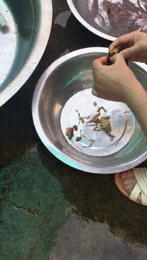 清理小龙虾只留虾尾,小龙虾怎么清理最好吃视频