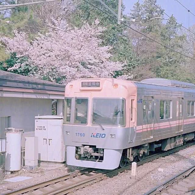 你别太得意小说全集,你别太得意英文