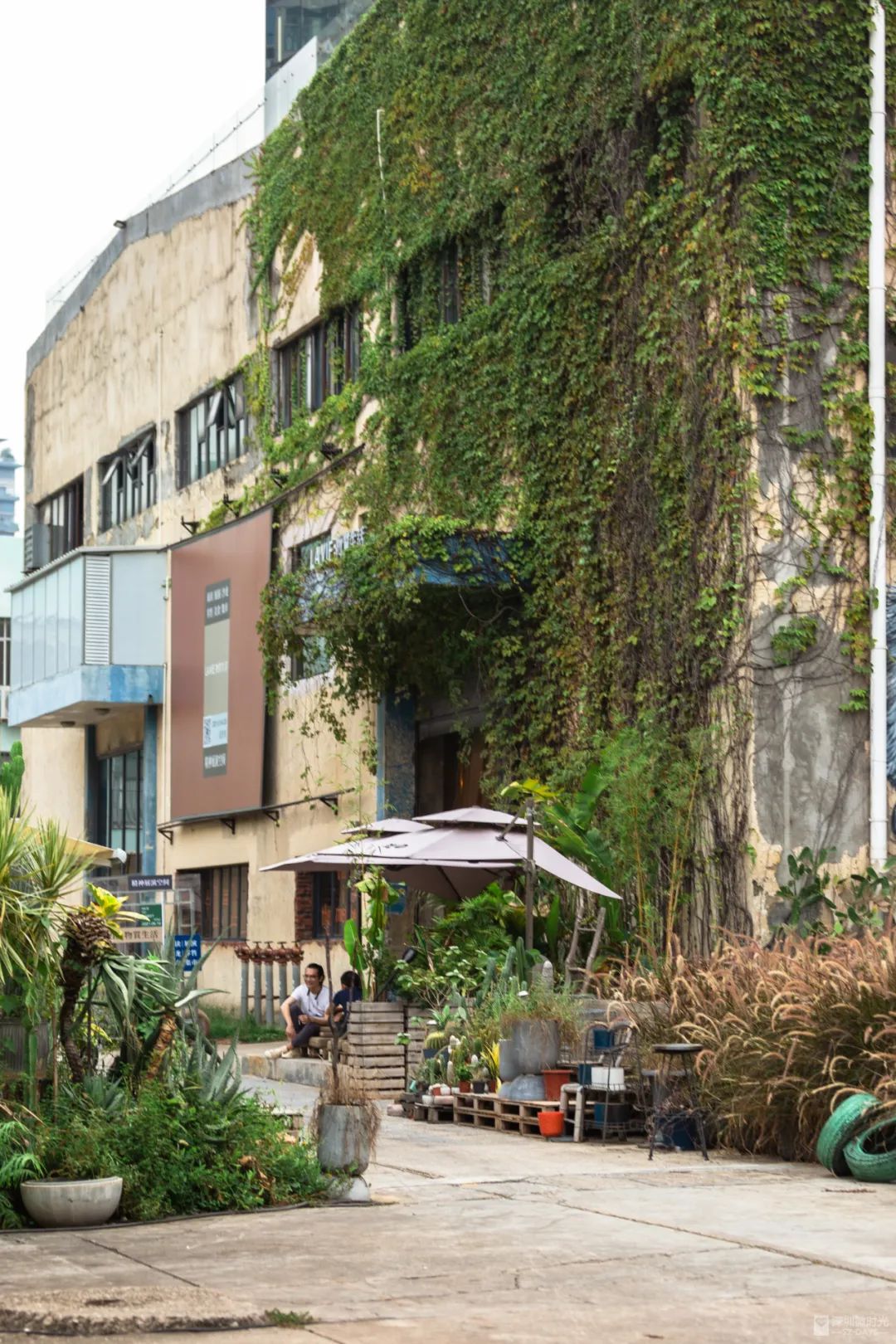 蛇口，一个住下来就不愿意再搬走的地方