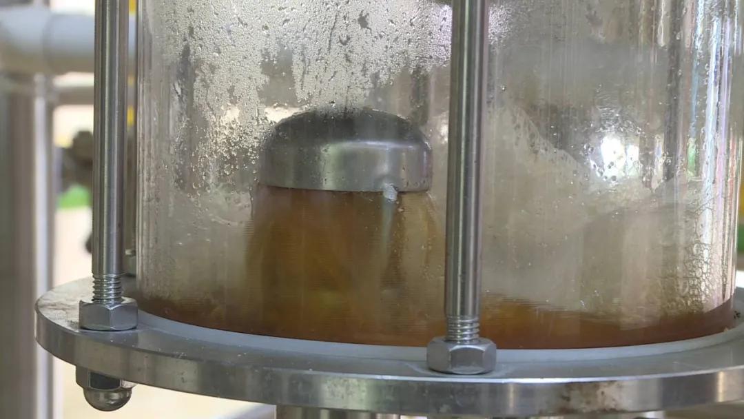 东源新城美食街,东源县美食嘉年华