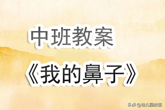 失踪的鼻子教案反思,中班我的鼻子教学视频