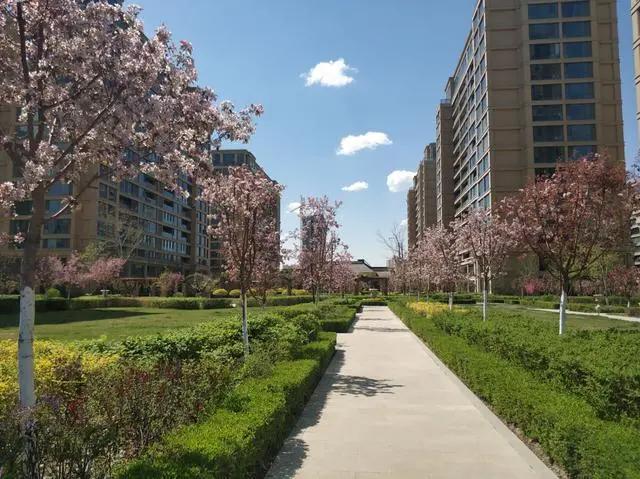 绿地城二期绿化乌鲁木齐,乌鲁木齐中海万锦公馆绿化环境