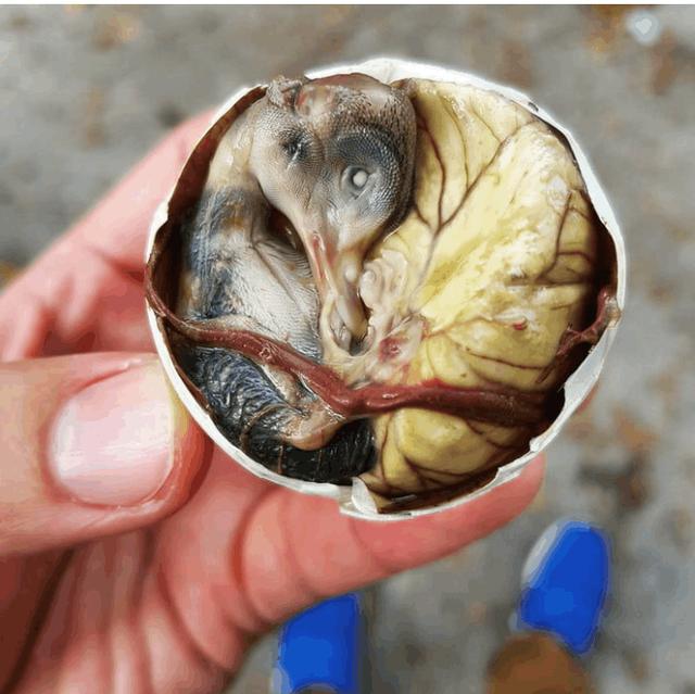 菲律宾街头美食图片大全,菲律宾街边美食视频