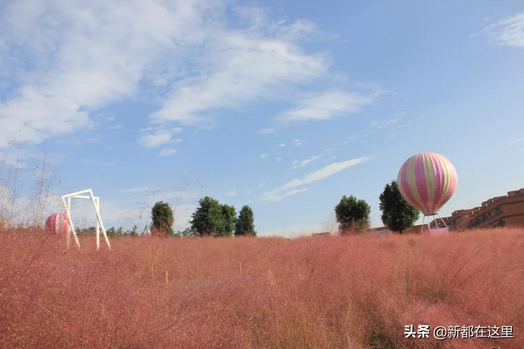 新都生活体验,来昆明感受向往的生活