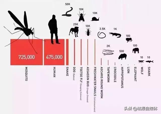 日本蚊子黑科技,灭蚊子神器日本