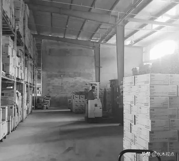 辛有志辛巴为什么这么牛,辛有志辛巴简介