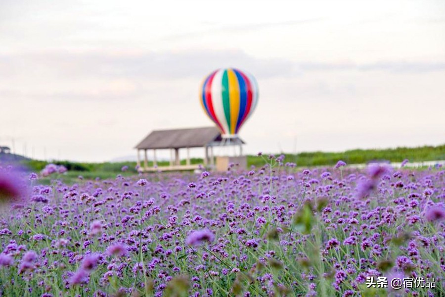 苏州太湖网红打卡地景点,苏州太湖度假区网红打卡地