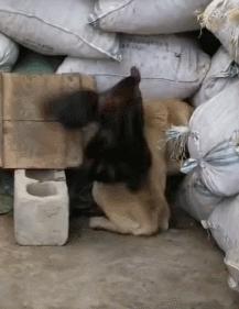 第一次人机大战电影,第一次人机战争