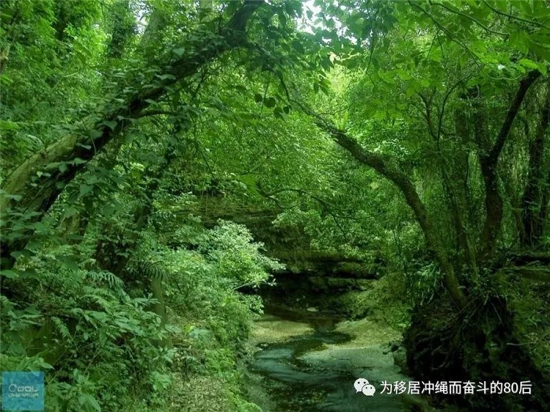 12月份冲绳攻略,想定居日本冲绳怎么样