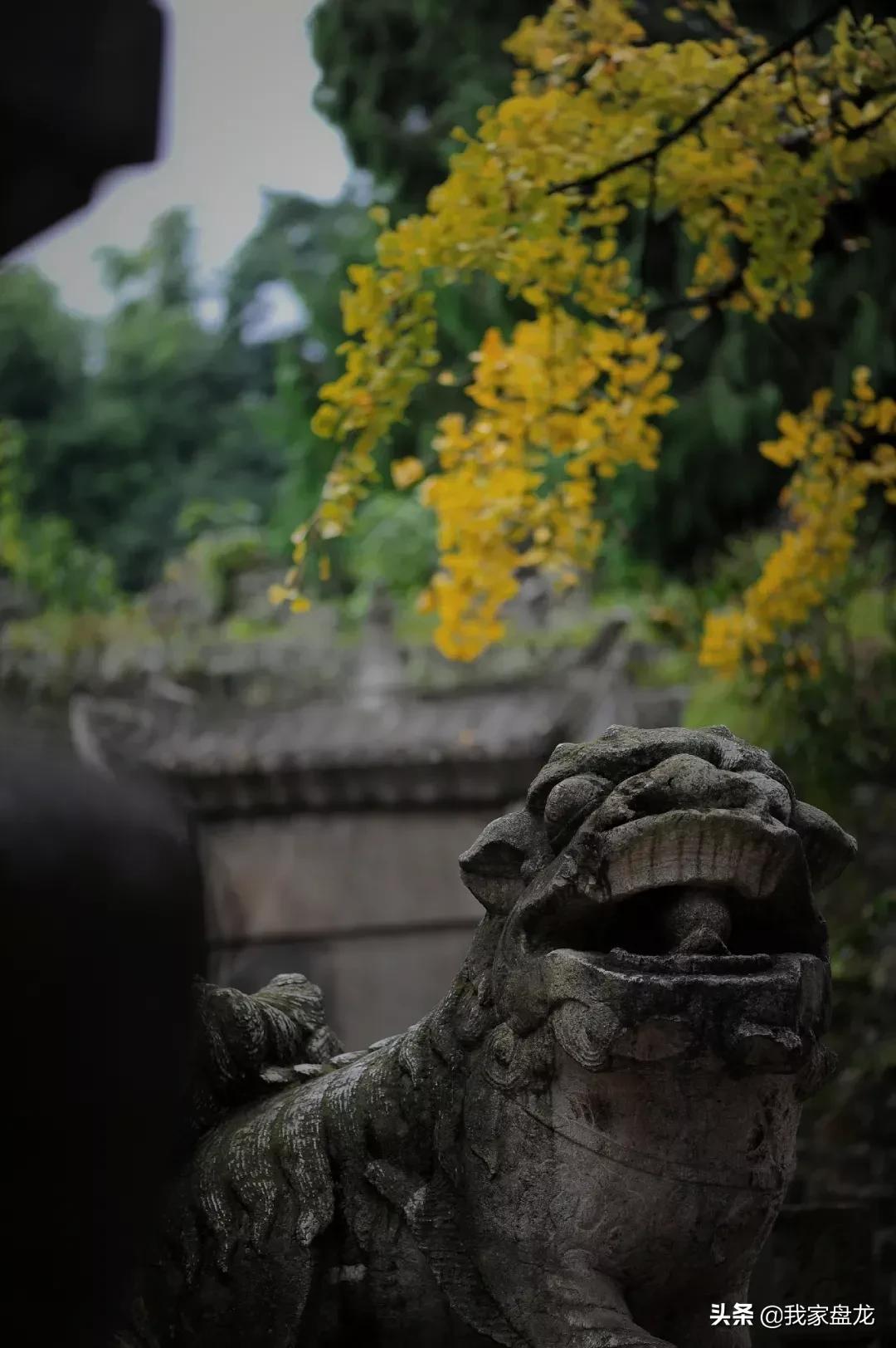 金殿的来历简介,金殿的前世今生