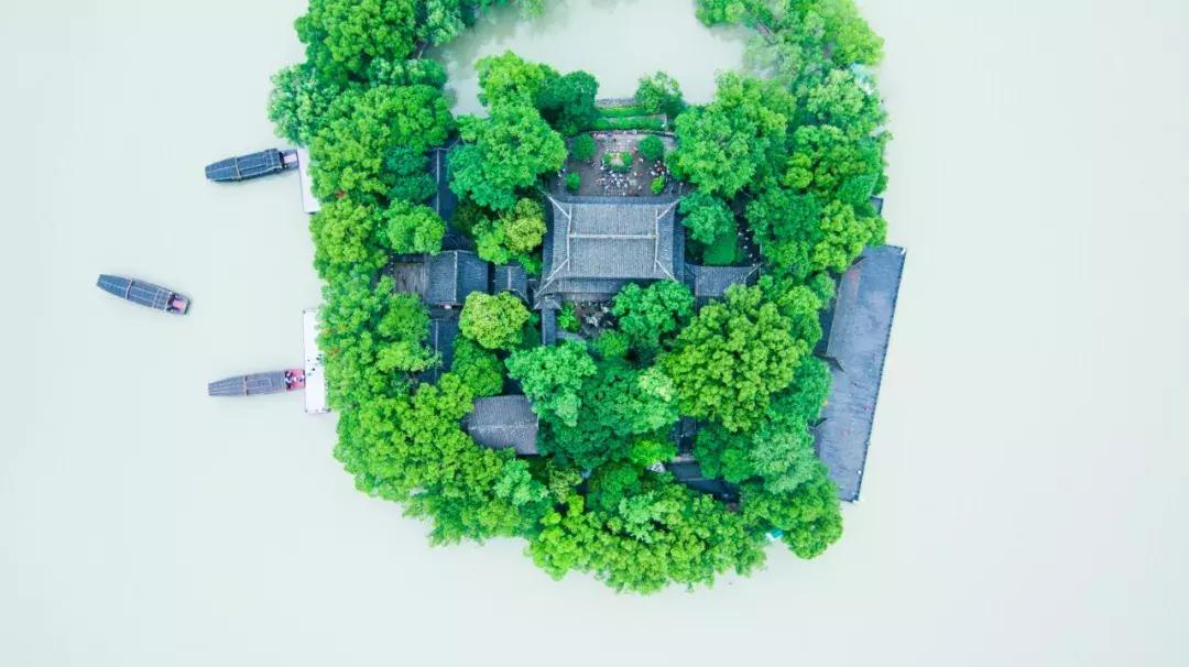 不到嘉兴也能吃到正宗的嘉兴粽子,美味的地道的嘉兴粽子