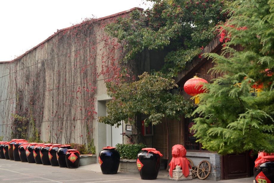 醋泡鸡蛋可以用山西陈醋吗,山西老醋泡鸡蛋