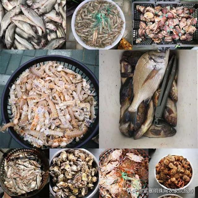 您的小资生活只差来到辽宁东戴河千玺度假庄园，体验乡村之美！