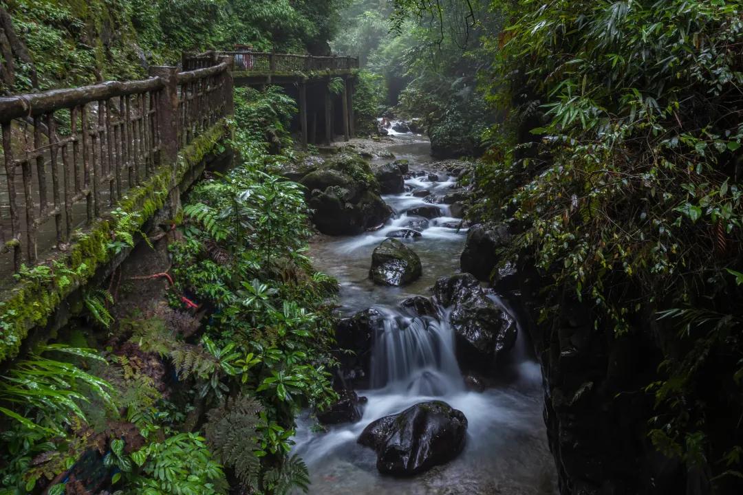 峨眉十大网红打卡地,峨眉网红打卡景点