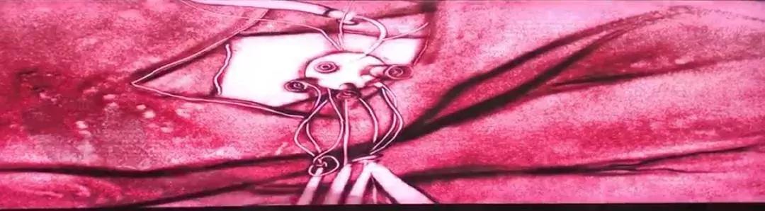 医学人文|你是我的眼:经阴道腹腔镜里的大世界