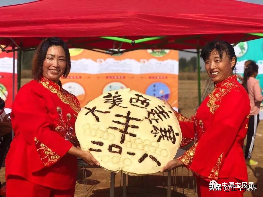 国内十大特色乡村,2006年中原乡村十大热点景区