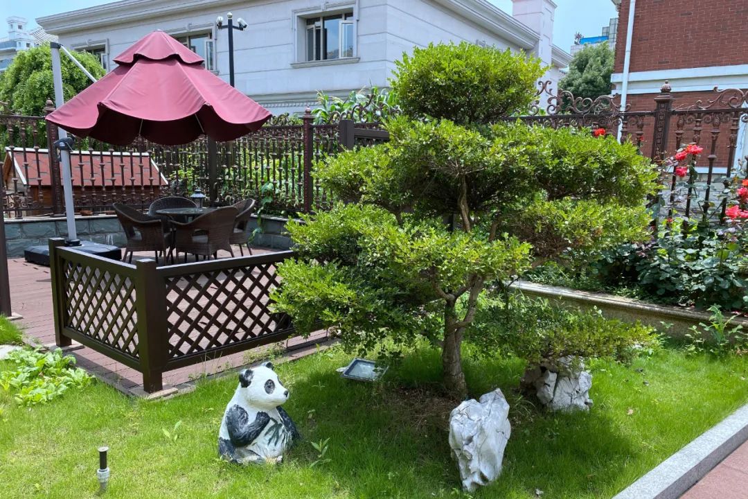 羡慕!快来看看江阴申港街道这些“美丽”榜样