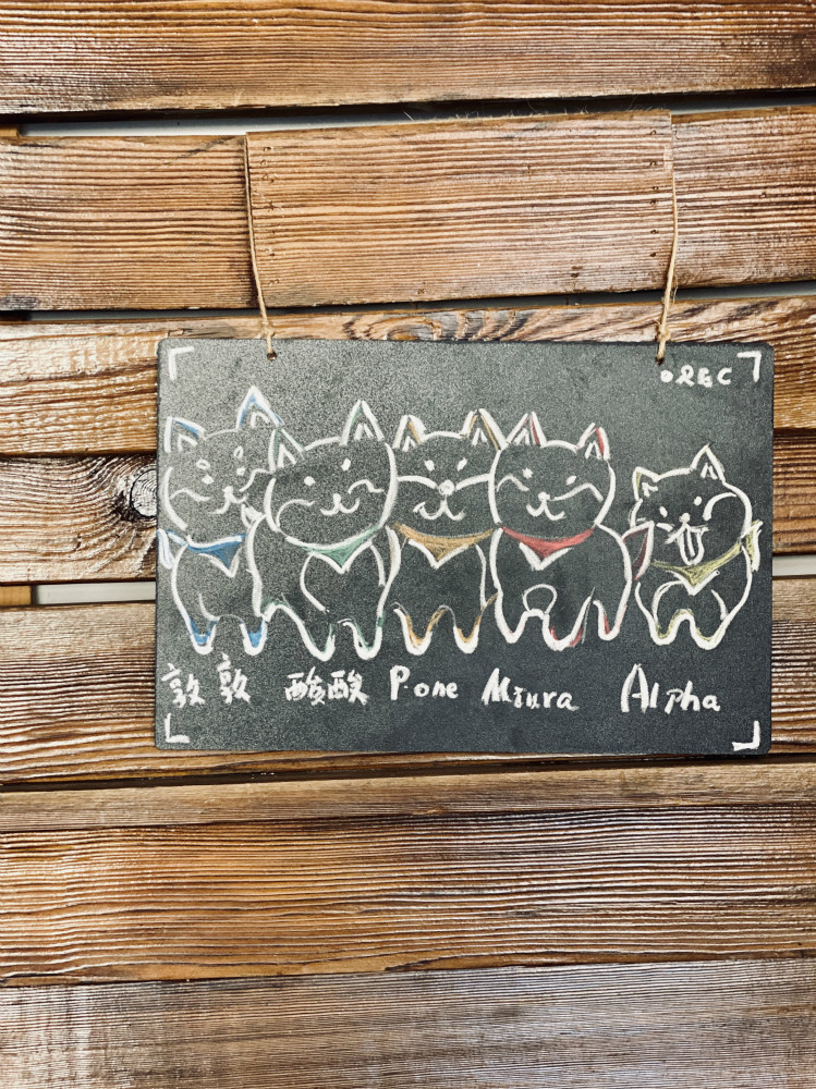 撸动物的网红店顺德,撸小动物的网红店北京世纪金源