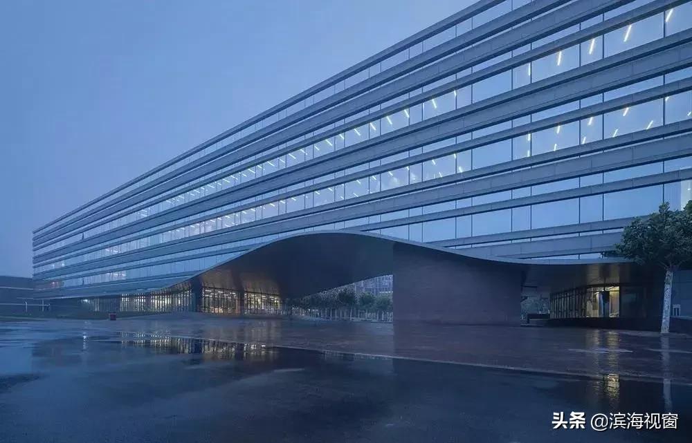 赞!新区这所新建校太炫酷,地下设专门接送学生车道