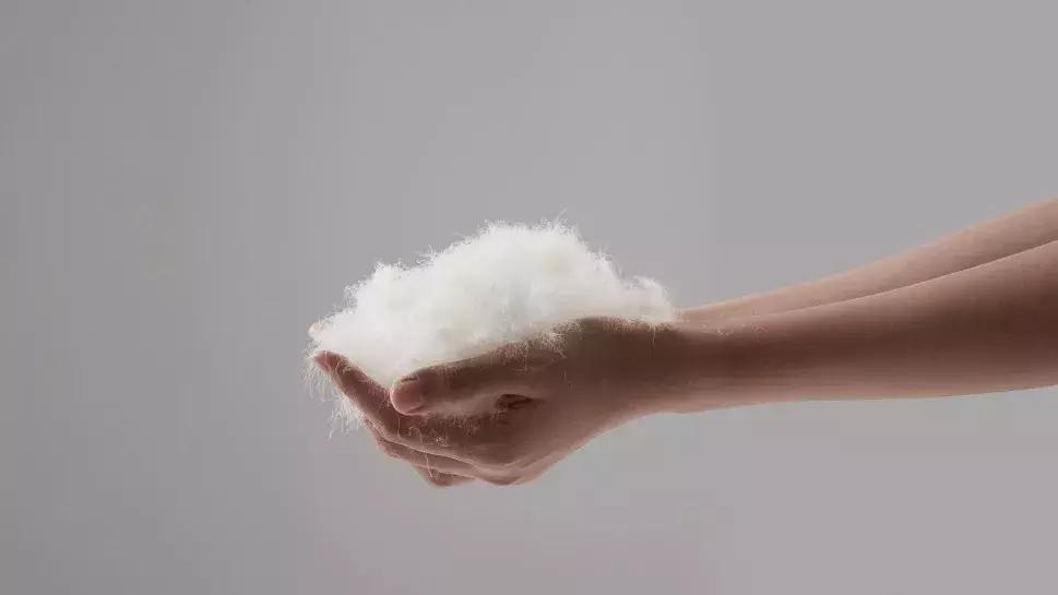 羽绒服你们都在哪里买,想买羽绒服又舍不得买