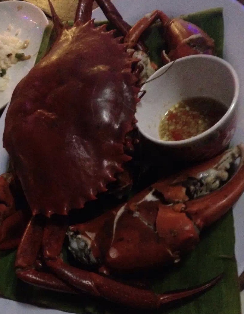 帕劳太平洋水族箱,潜水胜地帕劳水族箱