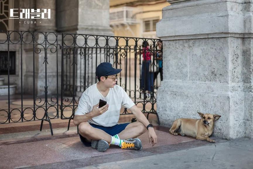 除了《乘风破浪的姐姐》，不出门的日子你也可以看看这些神仙综艺