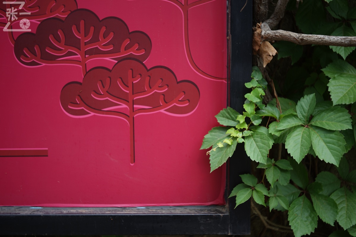 适合索尼a7m4的50定焦镜头测评,索尼a7m4镜头24-105f4测评