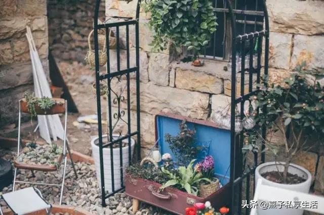 怎么打造低成本花园,怎么用几十元造花园