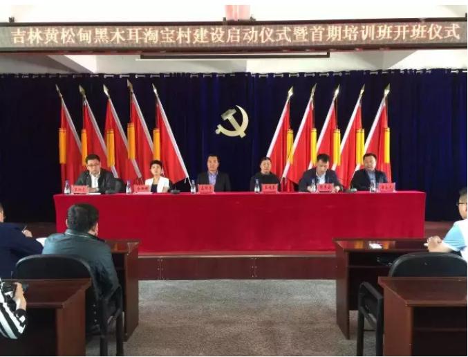 吉林省蛟河市黄松甸镇黑木耳,吉林省黄松甸是黑木耳的著名产地