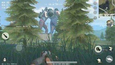 游戏毒瘤有哪些,中国游戏外挂发展史