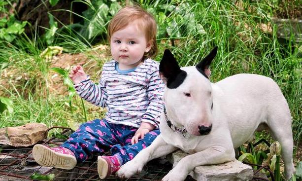 孩子做题总是看错是什么原因,孩子做题总出错怎么回事