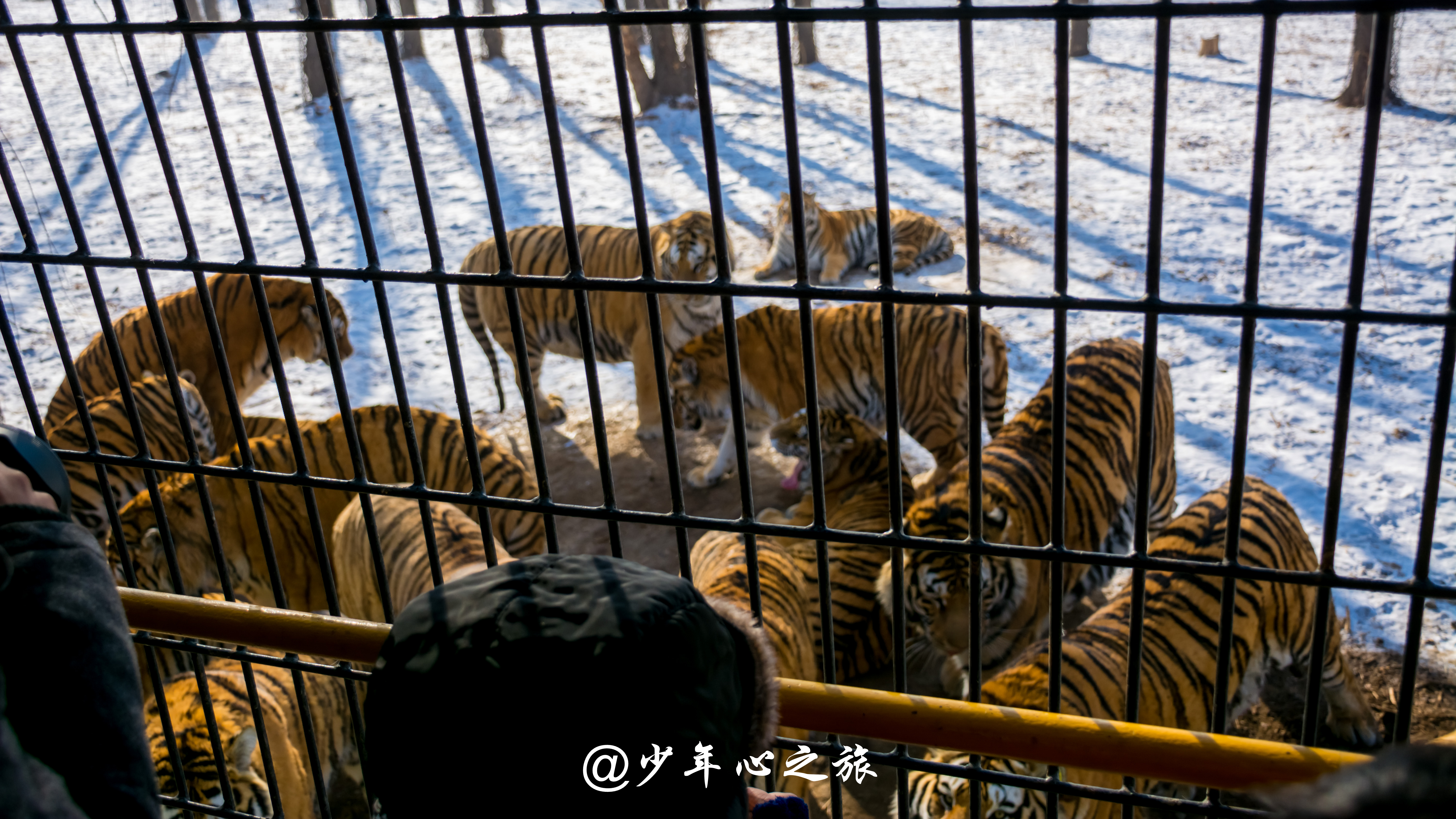 哈尔滨和沈阳旅游攻略,沈阳环湖游玩攻略