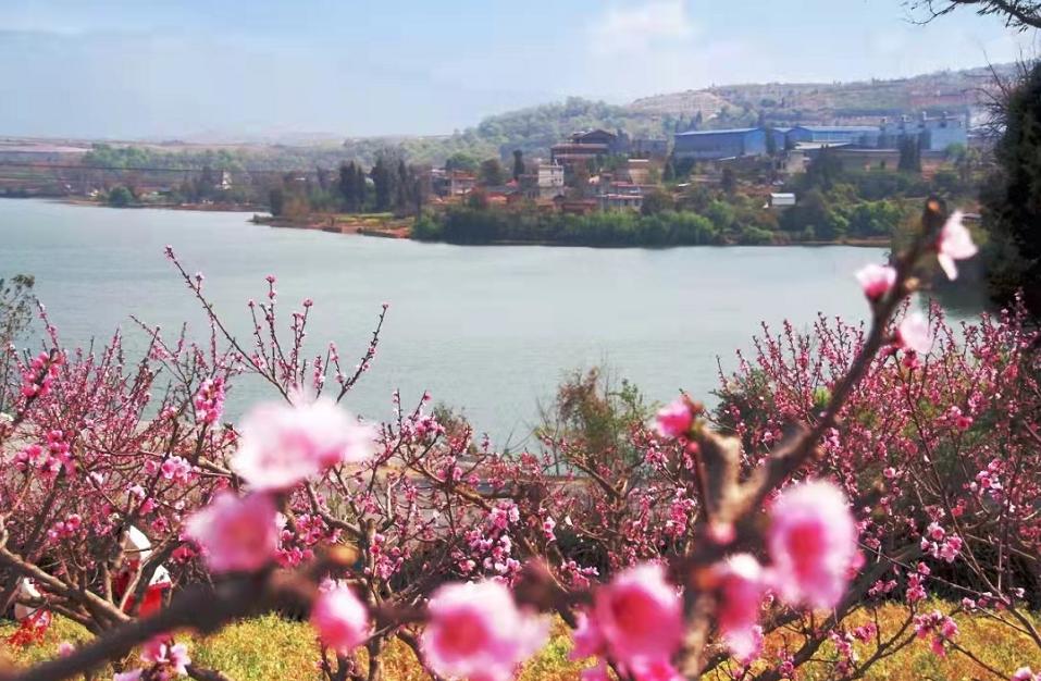 践行“昆明宣言”，三问嵩明如何做？