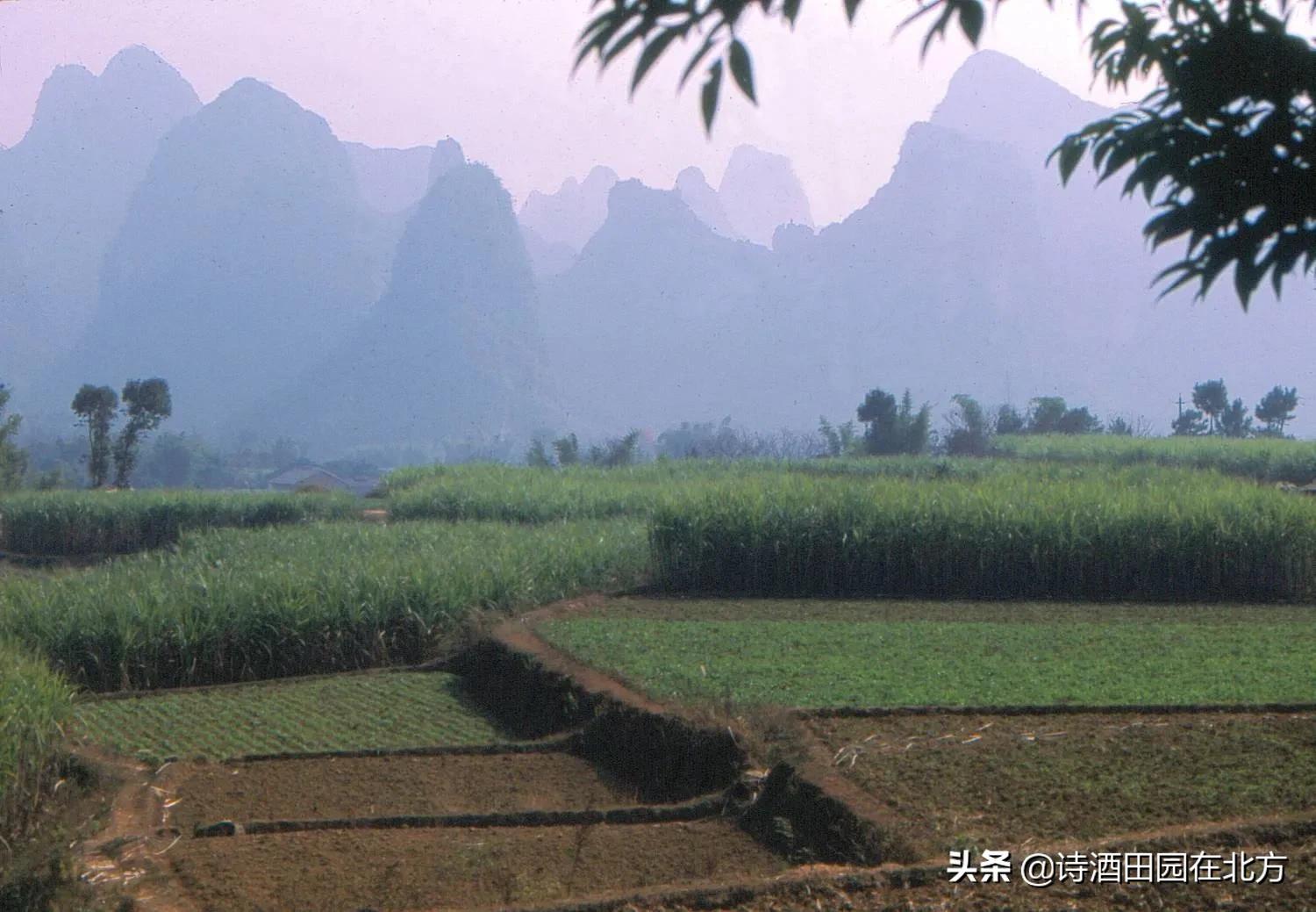 八十年代阳朔,上世纪八十年代广西桂林图片