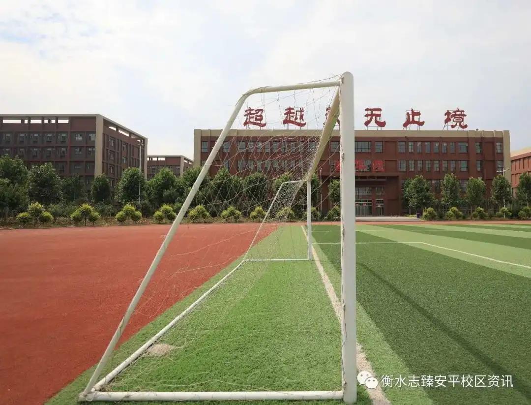 体教融合促进学校体育高质量发展,少年强则国强爱国教育