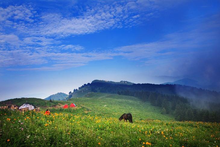 石家庄4a级景区名单,2021年12月石家庄市十大旅游景区