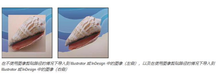 adobephotoshop绘图教程,adobephotoshop证书有用吗