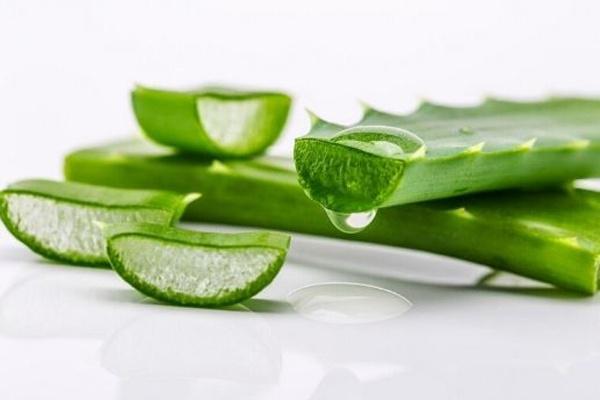 直接用鲜芦荟擦脸有什么功效,解析芦荟的7大美容养颜功效