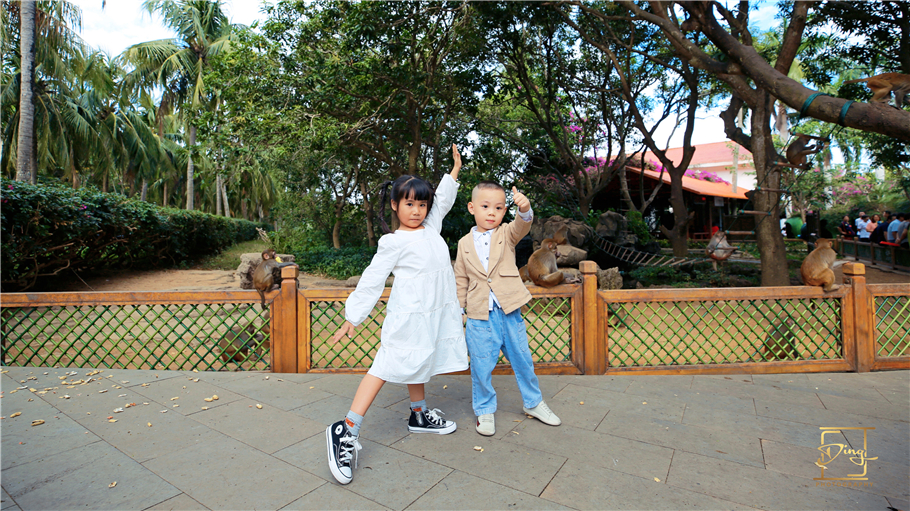 海南猴岛旅游自由行攻略,海南猴岛和呆呆岛攻略