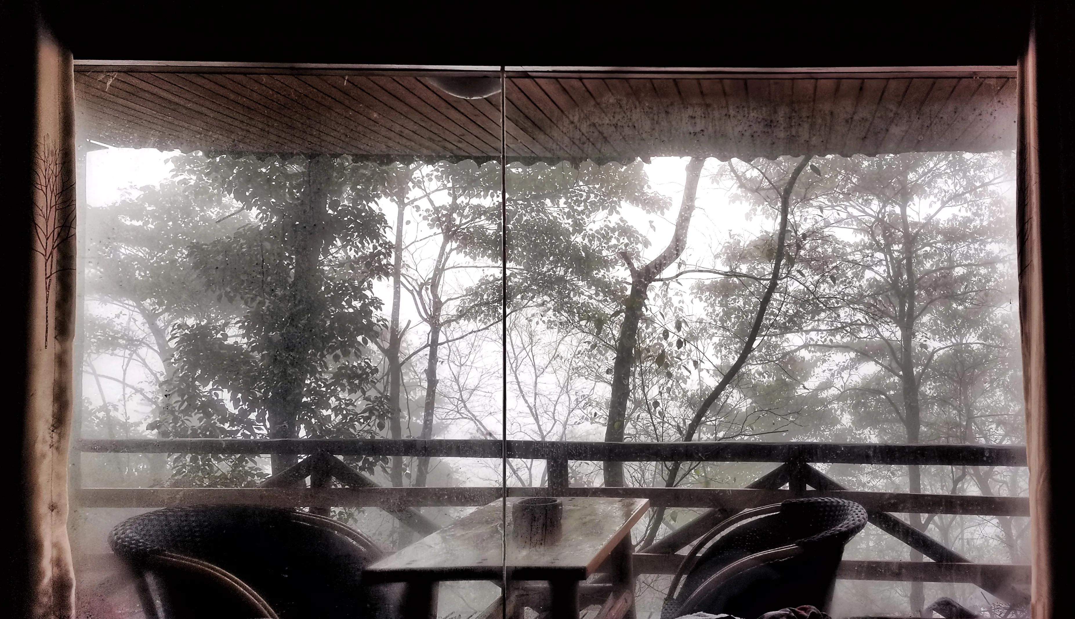 铜梁巴岳山森林木屋,巴岳山树屋