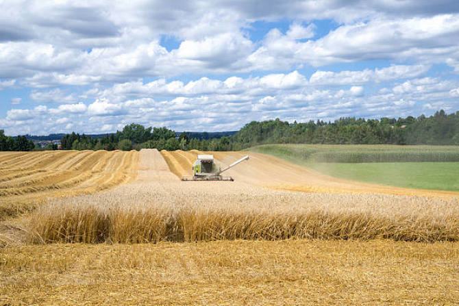 母亲说父亲是窝囊废,母亲说孩子是傻子