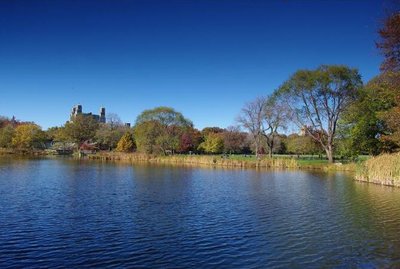 对瓦尔登湖的解读与感悟,瓦尔登湖最让人平静的十句话