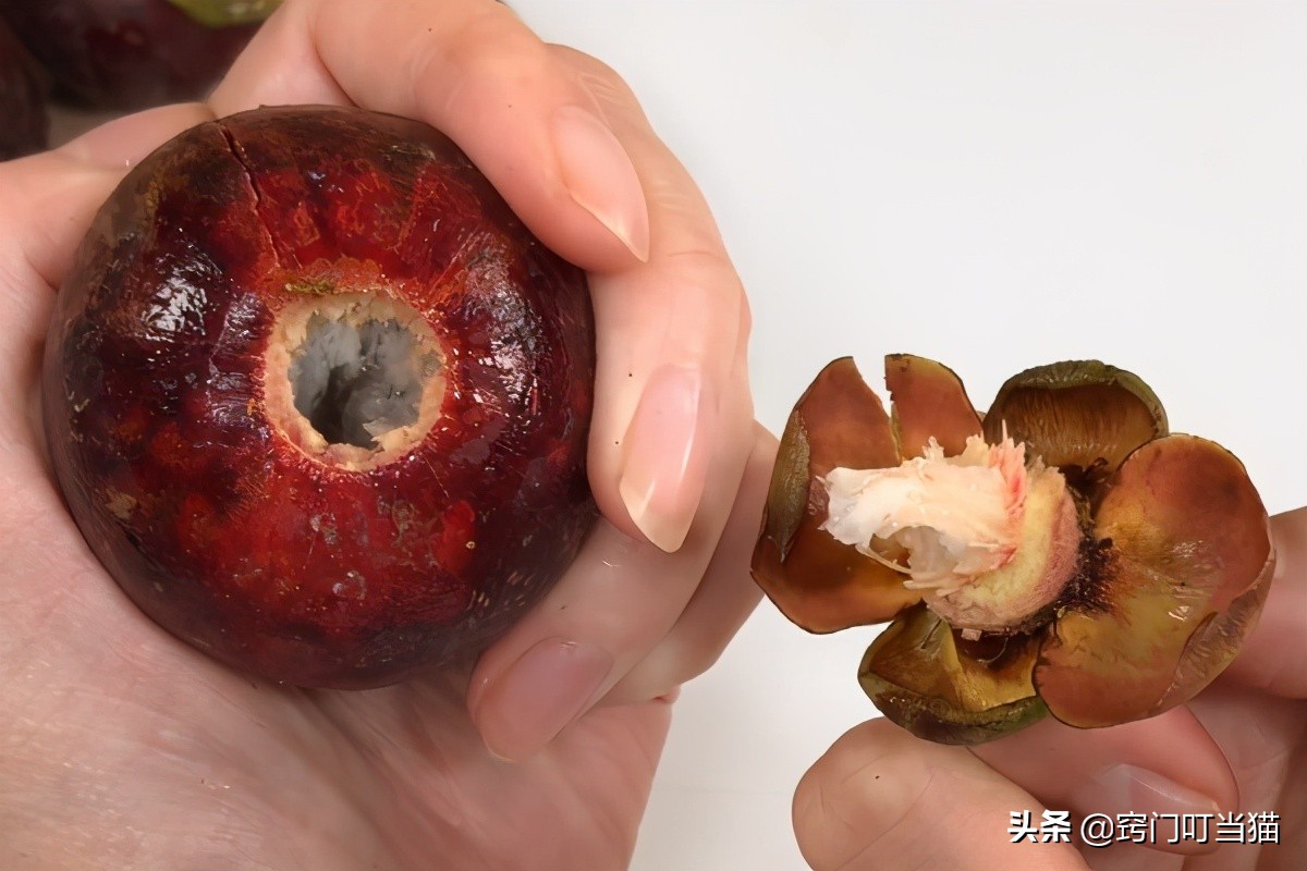 山竹顶上有小机关,山竹的顶部小机关