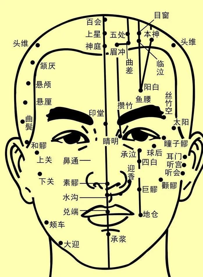 日常护理精华有哪些牌子,日常小护理推荐