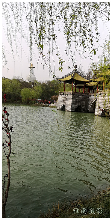 扬州夏日的瘦西湖风景,三月的扬州瘦西湖