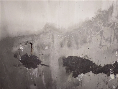 文一塘溪津门业主,文一塘溪津门房子怎样