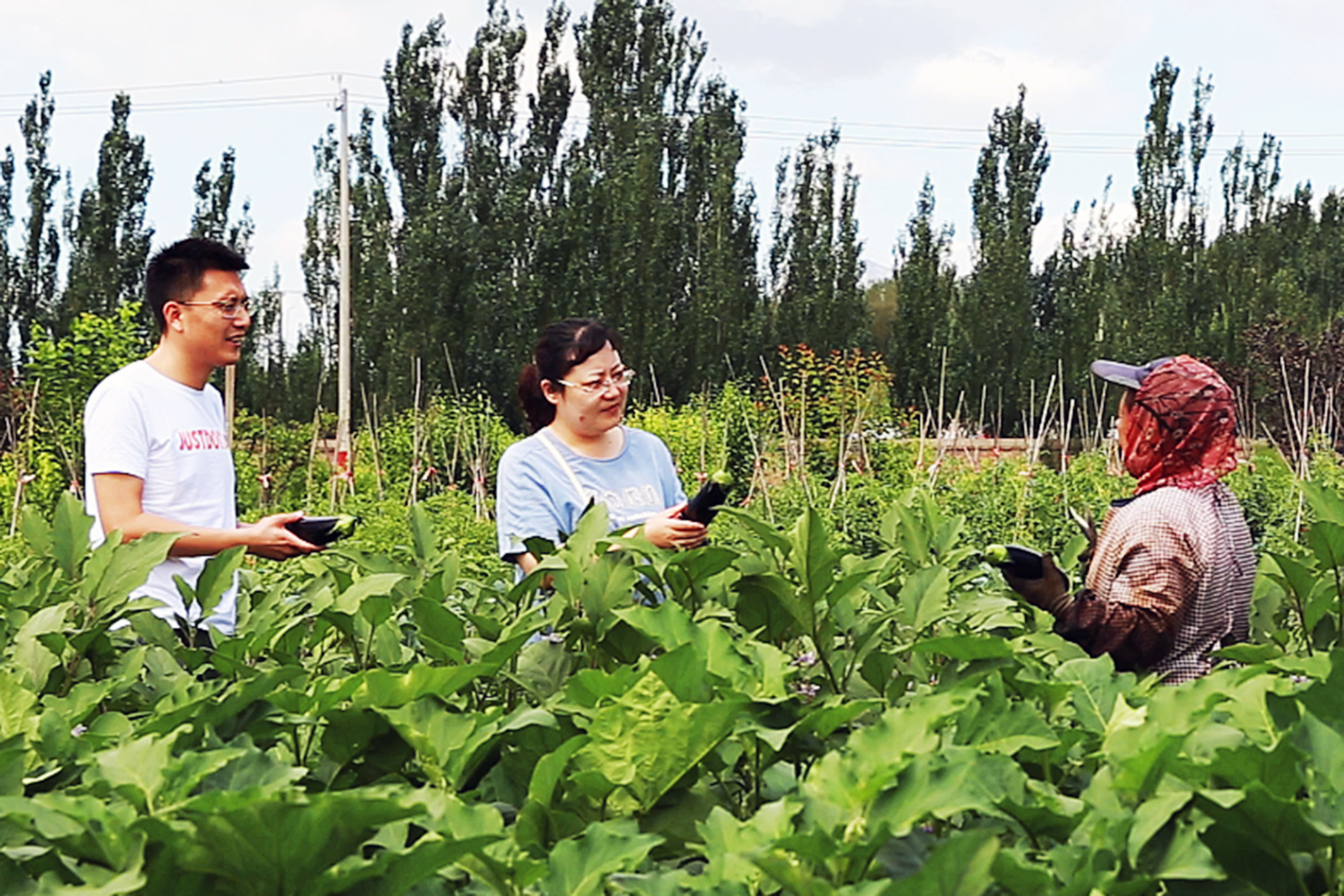 包头市一家科技特派员工作站和两家星创天地获内蒙古自治区后补助项目资金支持