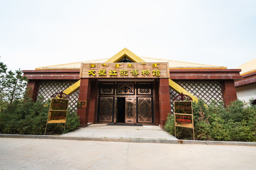 她是滔滔千里黄河的宠儿,阴山之下、河套之上的掌上明珠