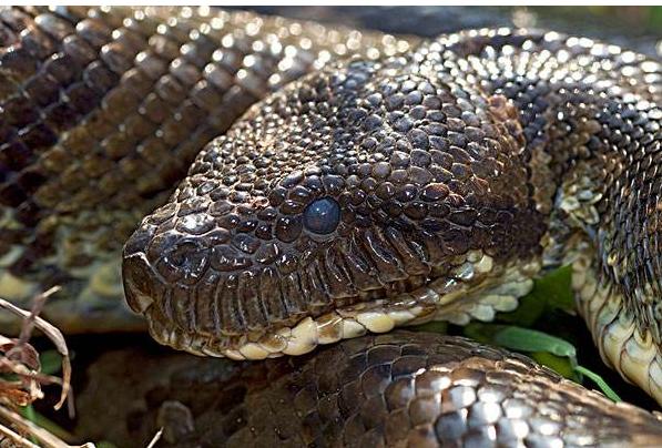 天涯神贴人类清除计划,天涯神贴如何躲避小人